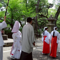 挙式中に参列していた弟が撮影してくれた花嫁行列の写真です。
