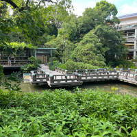 庭(参進で使用)