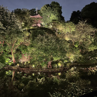 庭園