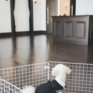 披露宴中はワンちゃんはロビーで待機することになっていました。|758707さんのTHE SEASON'S（ザ・シーズンズ）/テイクアンドギヴ・ニーズウェディングの写真(2579661)