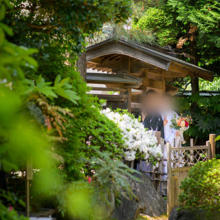 入り口からゲストのいる庭園に向かうシーンです。