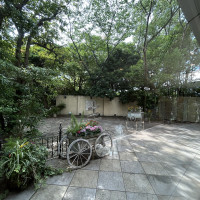 コートダジュールの庭です