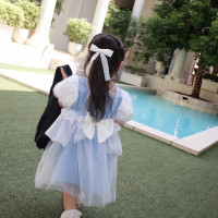 ガーデンの様子