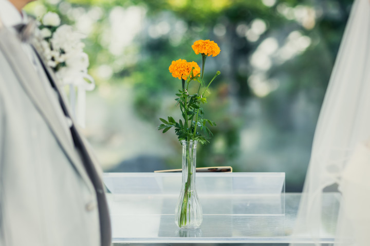 クチコミ導線画像2065605