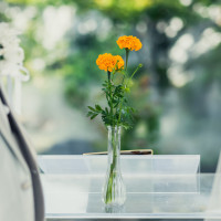 マリーゴールドに指輪を引っ掛けてリングピローにしました。