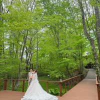 とても緑に囲まれた結婚式会場です