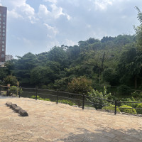 式場から出たときに見える庭園です。