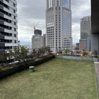 挙式後アフターパーティー、テラス