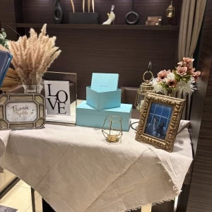 ウェルカムスペース演出例|759625さんのラグナヴェール プレミア（LAGUNAVEIL PREMIER）の写真(2530057)