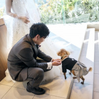 リングドッグ。おとなしい子であれば披露宴中も会場にいられます