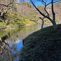 庭園の様子。
