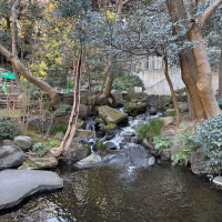 庭園の様子。