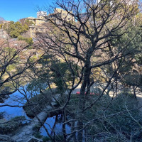 庭園の様子。