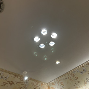 梅の間の天井ライト|760271さんの大阪天満宮の写真(2484863)