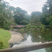 緑と池のコラボ
