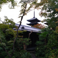 五重塔が庭から見える