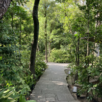 庭園