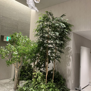 挙式会場装花|760551さんのホテルロイヤルクラシック大阪の写真(2499636)