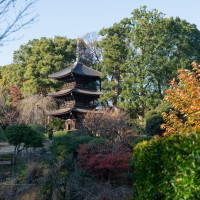 お庭の様子です