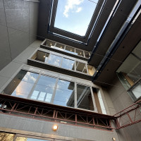 ウッドデッキから上を見上げた様子です