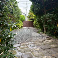 エントランスからみた外の風景