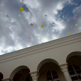 ガーデンでドロップ&フライ