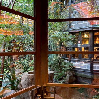 窓から見える緑