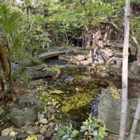 会場の周りは広いお庭のようになっています。