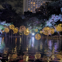 庭園の池です。