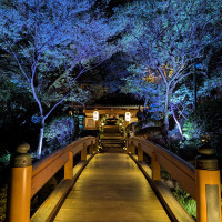 庭園の橋です。