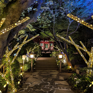 庭園のライトアップです。。|760931さんのグランドプリンスホテル高輪 貴賓館の写真(2554380)