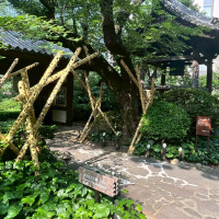 日本庭園