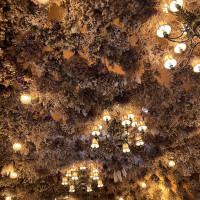 天井に敷き詰められたお花