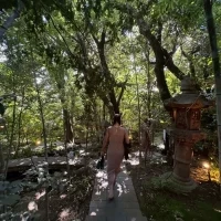 会場内のお庭