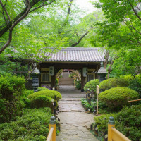 庭園
