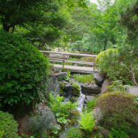 庭園