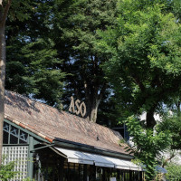 新緑の時期は緑がたっぷりで最高です