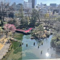 テラスからの風景