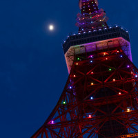 ガーデンからの東京タワー