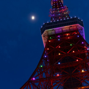 ガーデンからの東京タワー|761506さんのThe Place of Tokyo（ザ プレイス オブ トウキョウ）の写真(2490654)