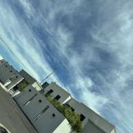 会場