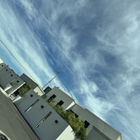 会場