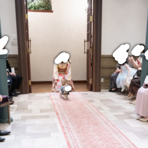 リングドッグ|761579さんのアニバーサリーアン 恵比寿の写真(2491105)