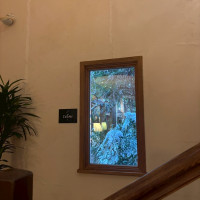 ロビーから見える外の景色