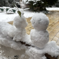 式場入口の雪だるま