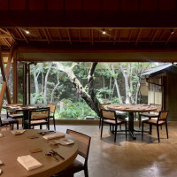 お庭に陽光が差し込んできて、とても綺麗でした