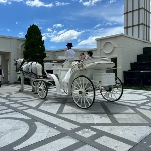 馬車での退場|761701さんのノートルダムマリノア/FIVESTAR WEDDINGの写真(2491636)