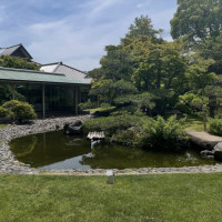 日本庭園から見える料亭