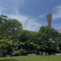 日本庭園から見えるポートタワー