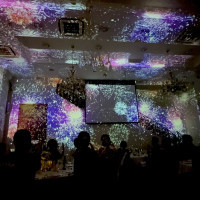 お気に入りの花火シーン全体図。天井まで花火があがります